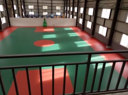 西藏林芝室內硅PU球場_室內地面工程案例_廣東
