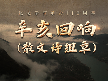辛亥回響！110年，我們接續奮斗！