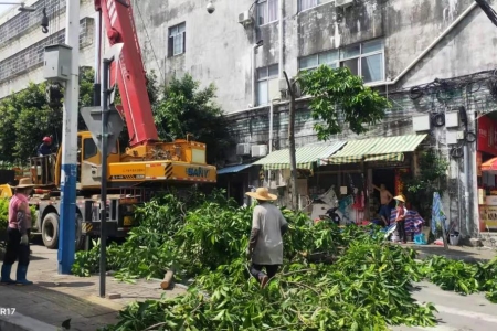 西區街道：開展全路域環境整治，助力文明城市創建