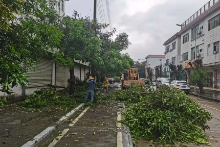 漁船靠岸，工地停工！防御臺風“圓規”，南區街道這樣做