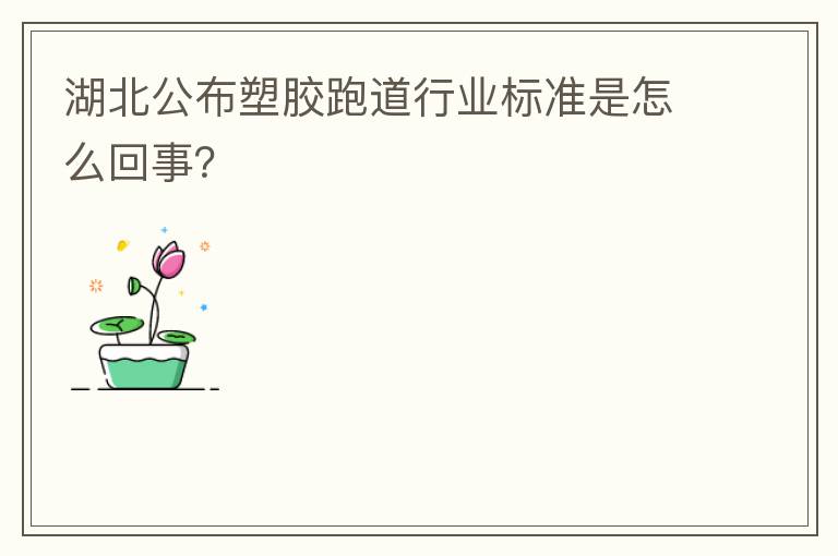 湖北公布塑膠跑道行業標準是怎么回事？