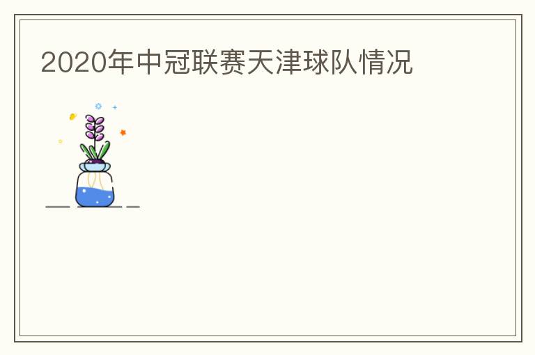 2020年中冠聯賽天津球隊情況