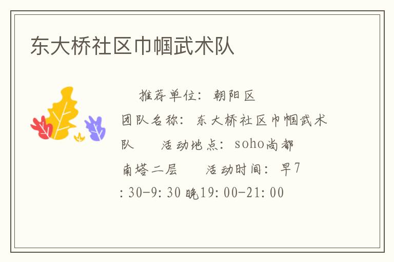 東大橋社區巾幗武術隊