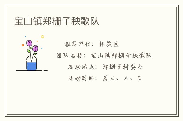 寶山鎮鄭柵子秧歌隊