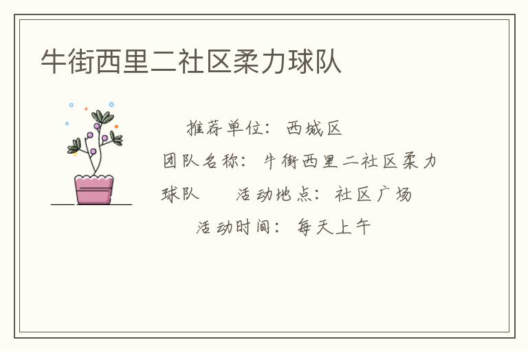 牛街西里二社區柔力球隊