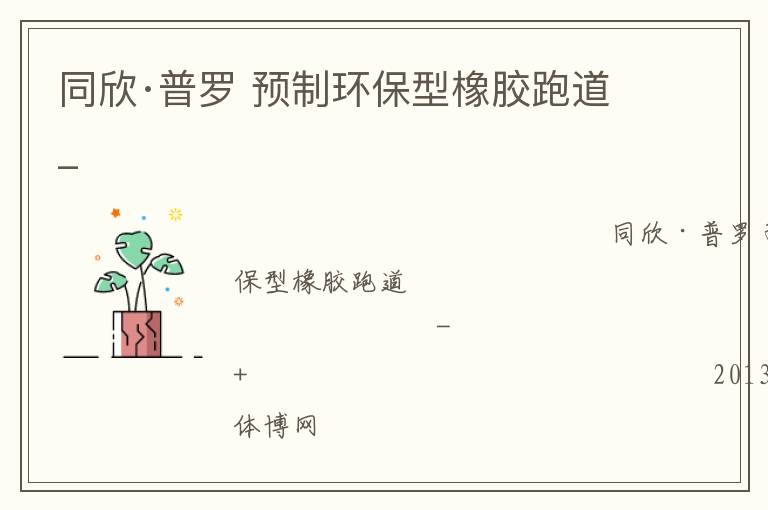 同欣·普羅 預制環保型橡膠跑道_
