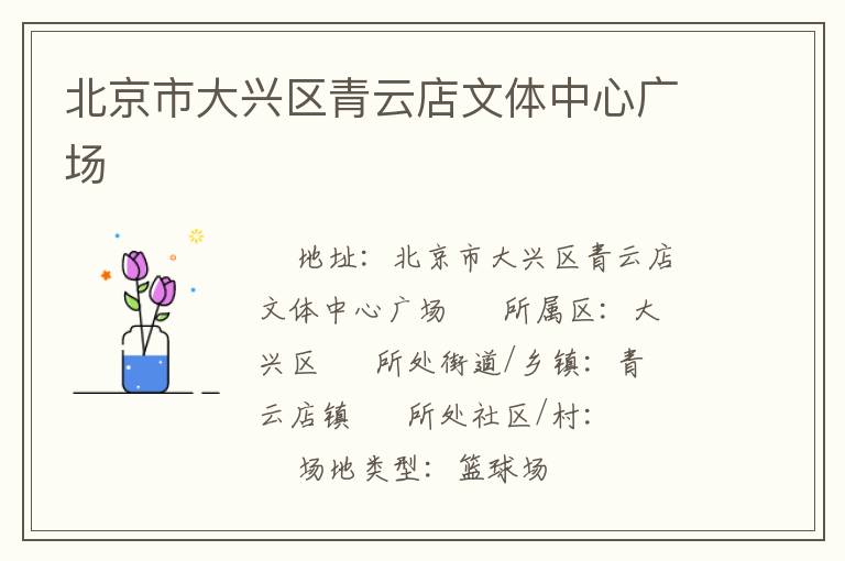 北京市大興區青云店文體中心廣場