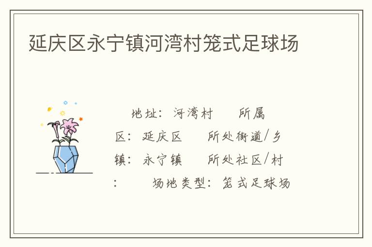 延慶區永寧鎮河灣村籠式足球場