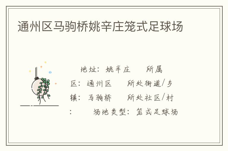 通州區馬駒橋姚辛莊籠式足球場