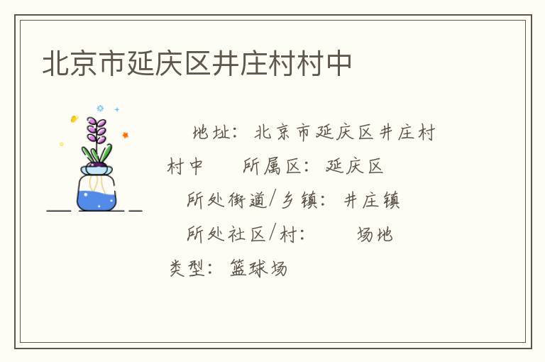 北京市延慶區井莊村村中