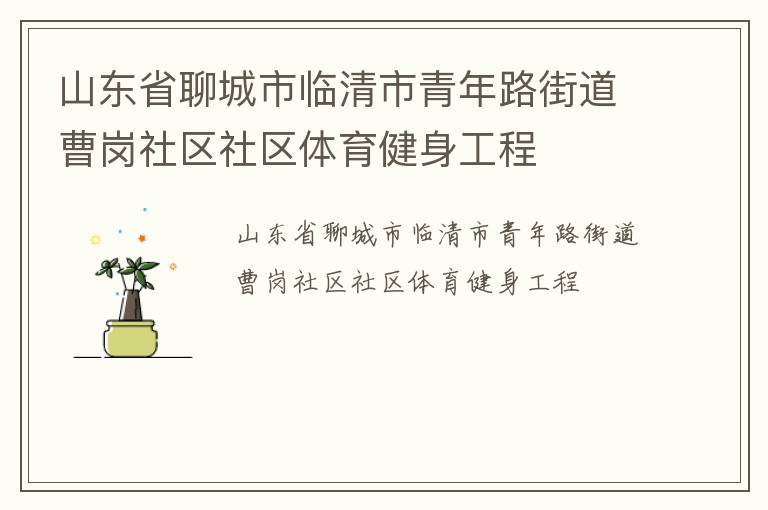 山東省聊城市臨清市青年路街道曹崗社區社區體育健身工程