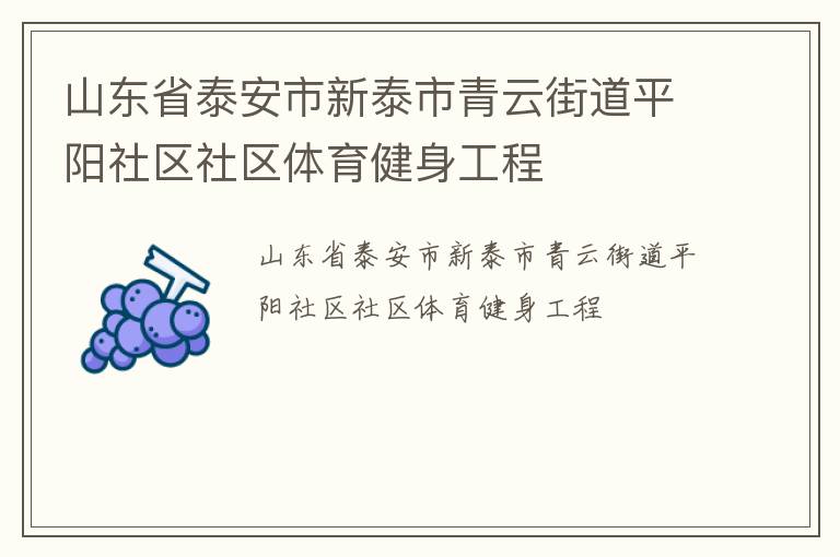 山東省泰安市新泰市青云街道平陽(yáng)社區(qū)社區(qū)體育健身工程