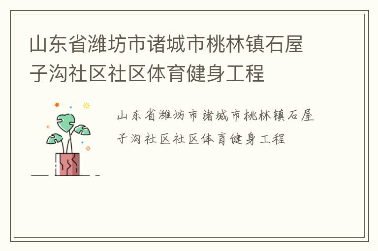 山東省濰坊市諸城市桃林鎮石屋子溝社區社區體育健身工程