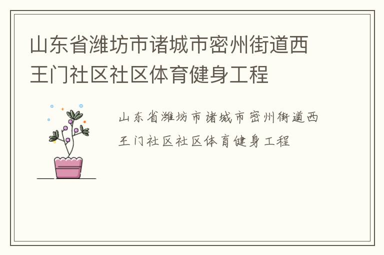 山東省濰坊市諸城市密州街道西王門社區社區體育健身工程