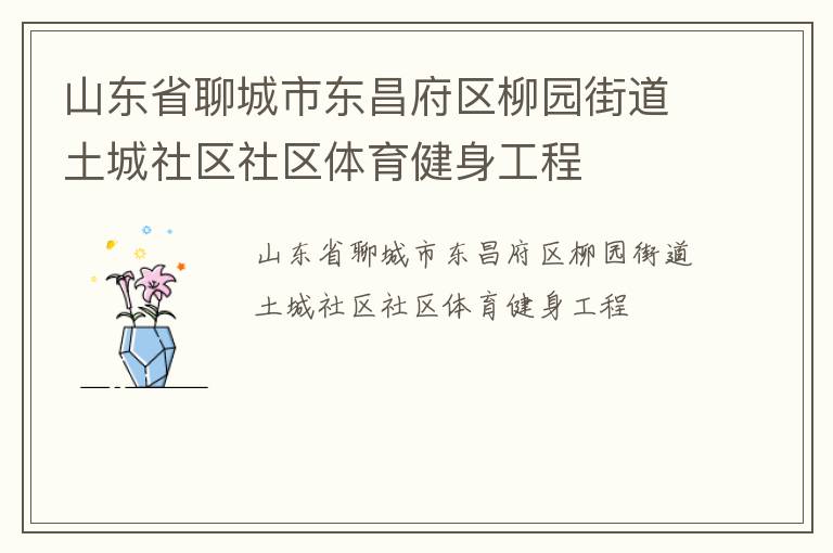 山東省聊城市東昌府區柳園街道土城社區社區體育健身工程