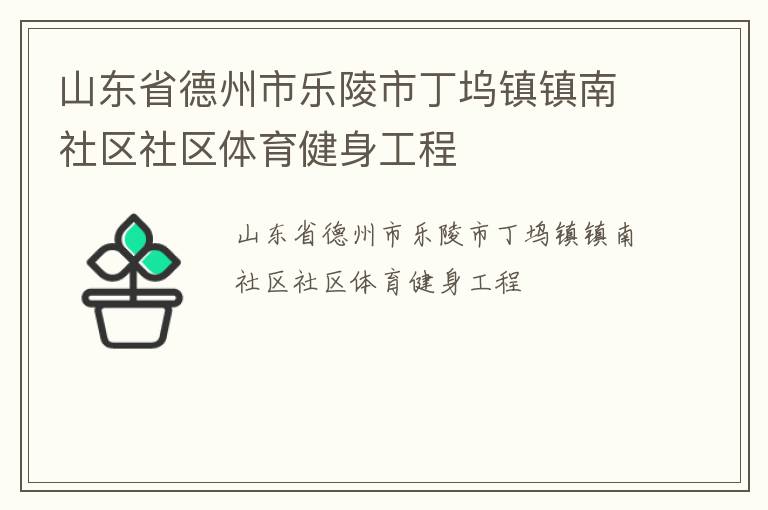 山東省德州市樂陵市丁塢鎮鎮南社區社區體育健身工程