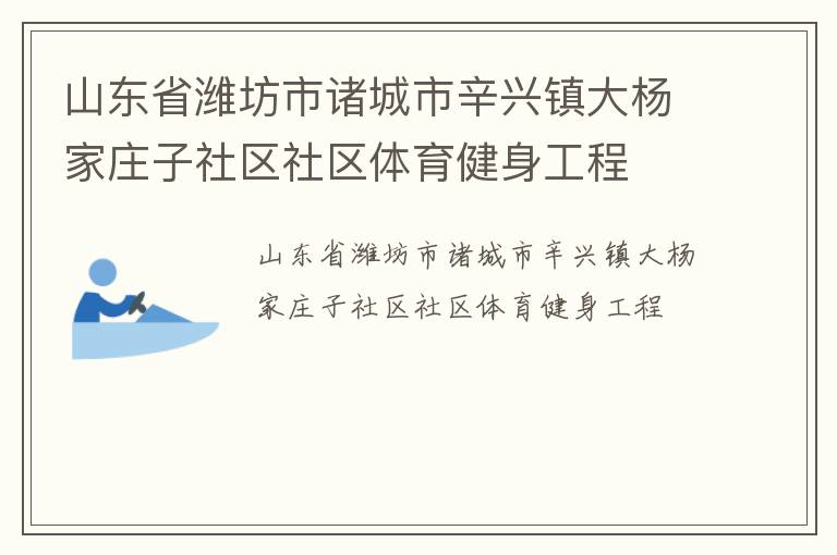 山東省濰坊市諸城市辛興鎮大楊家莊子社區社區體育健身工程