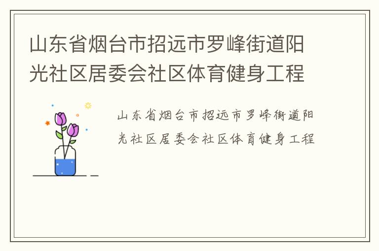 山東省煙臺(tái)市招遠(yuǎn)市羅峰街道陽(yáng)光社區(qū)居委會(huì)社區(qū)體育健身工程