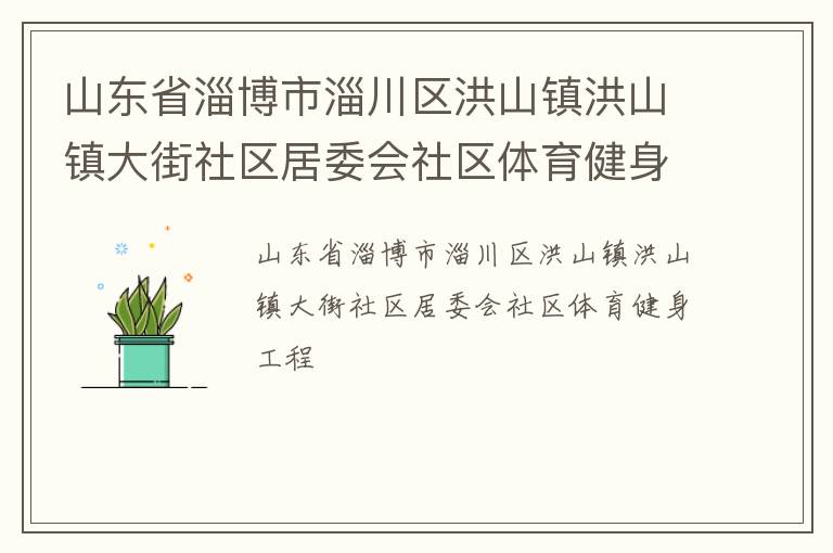 山東省淄博市淄川區洪山鎮洪山鎮大街社區居委會社區體育健身工程