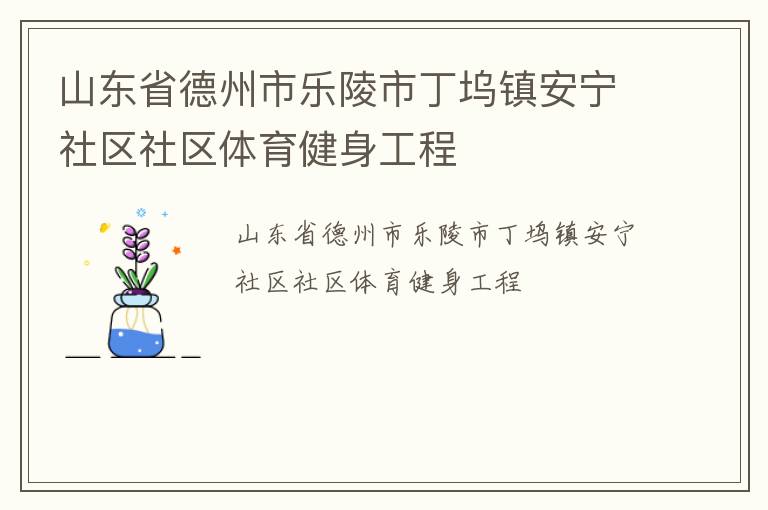 山東省德州市樂陵市丁塢鎮安寧社區社區體育健身工程