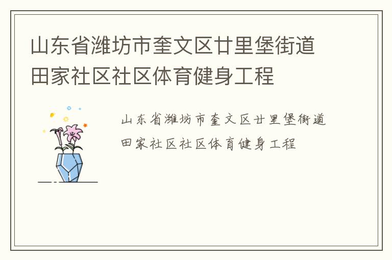 山東省濰坊市奎文區廿里堡街道田家社區社區體育健身工程