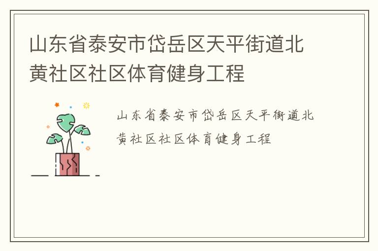 山東省泰安市岱岳區天平街道北黃社區社區體育健身工程