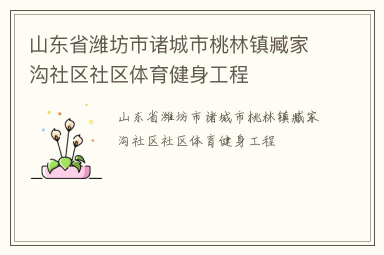 山東省濰坊市諸城市桃林鎮臧家溝社區社區體育健身工程