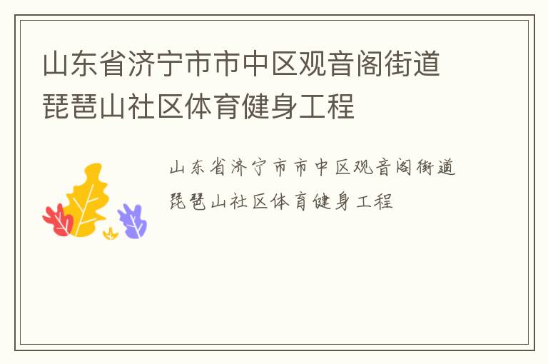 山東省濟寧市市中區觀音閣街道琵琶山社區體育健身工程