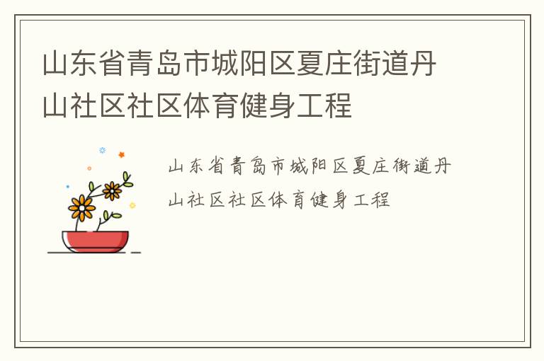 山東省青島市城陽區(qū)夏莊街道丹山社區(qū)社區(qū)體育健身工程