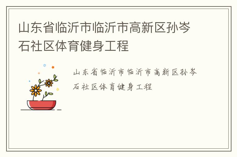 山東省臨沂市臨沂市高新區孫岑石社區體育健身工程