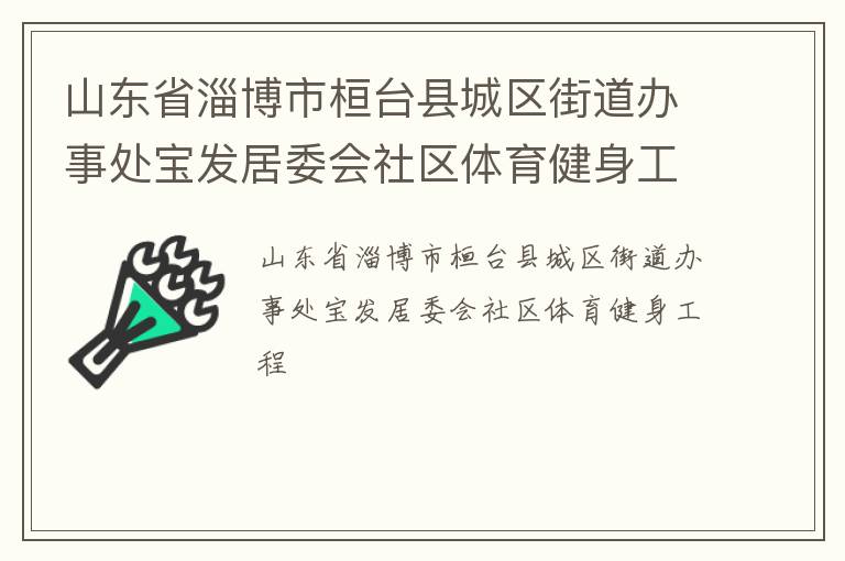 山東省淄博市桓臺縣城區街道辦事處寶發居委會社區體育健身工程