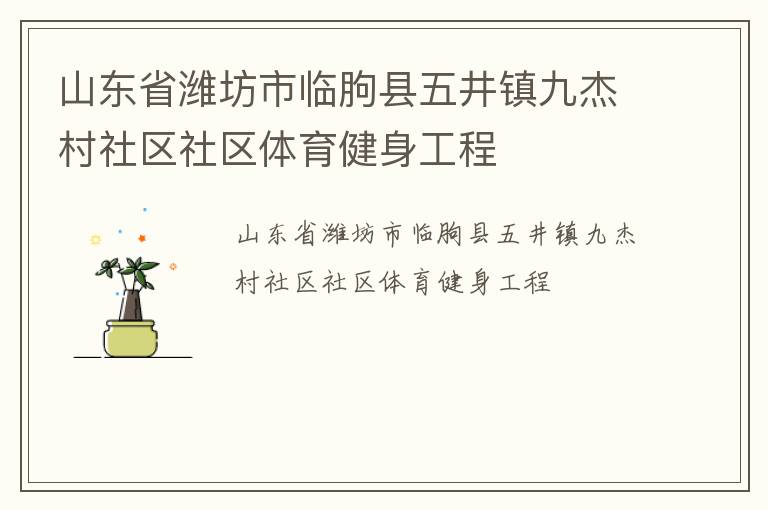 山東省濰坊市臨朐縣五井鎮九杰村社區社區體育健身工程