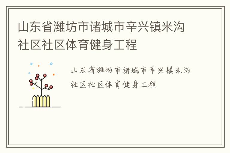 山東省濰坊市諸城市辛興鎮米溝社區社區體育健身工程
