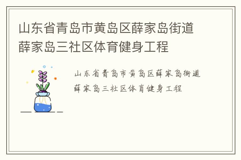 山東省青島市黃島區薛家島街道薛家島三社區體育健身工程