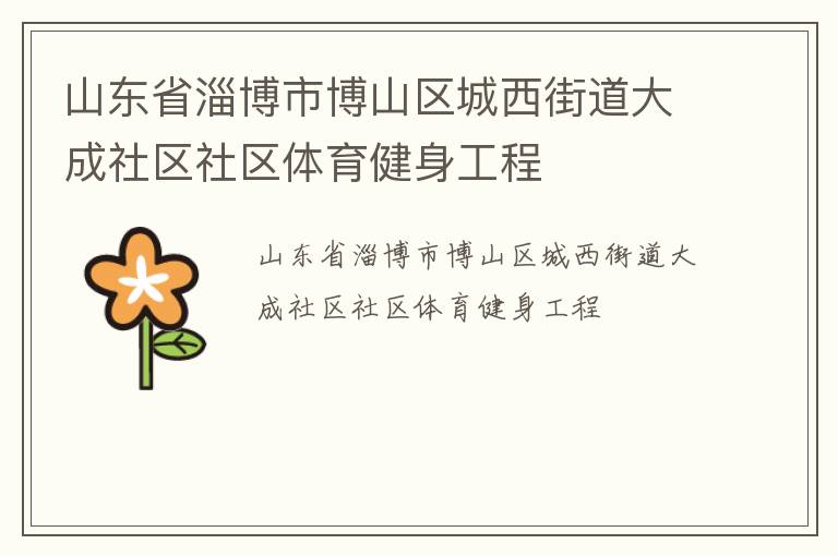 山東省淄博市博山區城西街道大成社區社區體育健身工程