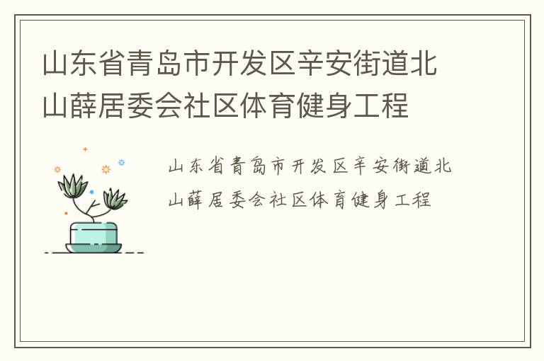 山東省青島市開發區辛安街道北山薛居委會社區體育健身工程