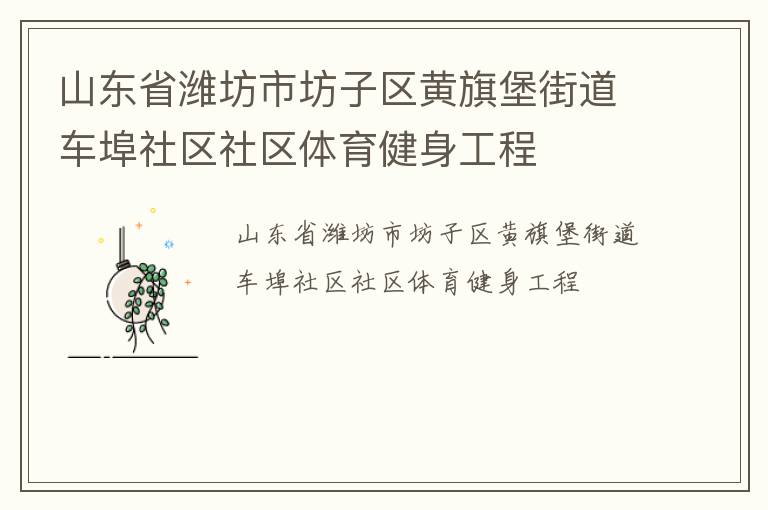 山東省濰坊市坊子區黃旗堡街道車埠社區社區體育健身工程