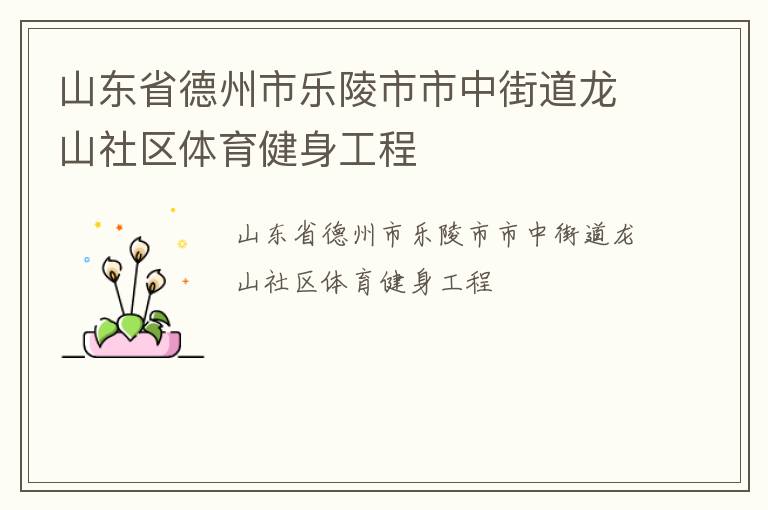 山東省德州市樂陵市市中街道龍山社區體育健身工程