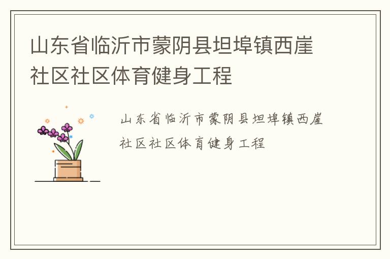 山東省臨沂市蒙陰縣坦埠鎮西崖社區社區體育健身工程