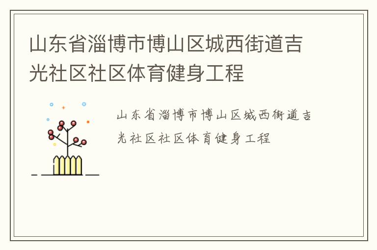 山東省淄博市博山區城西街道吉光社區社區體育健身工程