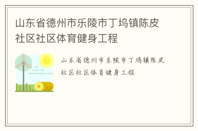 山東省德州市樂陵市丁塢鎮陳皮社區社區體育健身工程