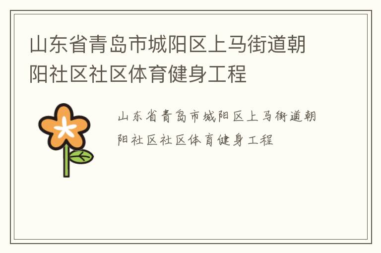 山東省青島市城陽區上馬街道朝陽社區社區體育健身工程