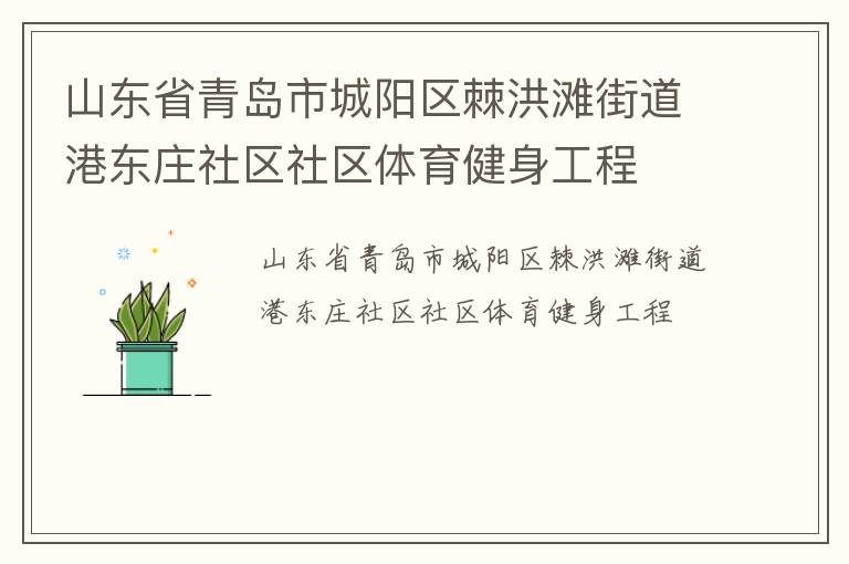 山東省青島市城陽區棘洪灘街道港東莊社區社區體育健身工程