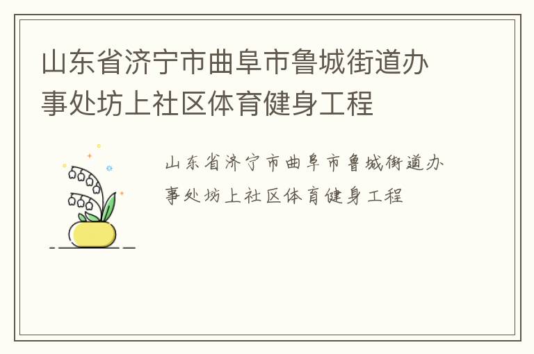 山東省濟寧市曲阜市魯城街道辦事處坊上社區體育健身工程