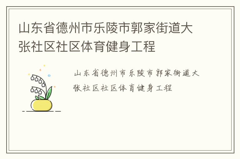 山東省德州市樂陵市郭家街道大張社區社區體育健身工程