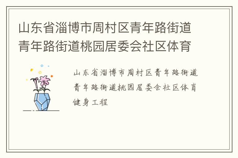 山東省淄博市周村區青年路街道青年路街道桃園居委會社區體育健身工程