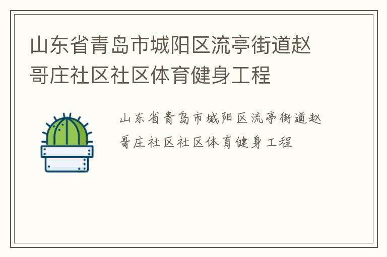 山東省青島市城陽區流亭街道趙哥莊社區社區體育健身工程