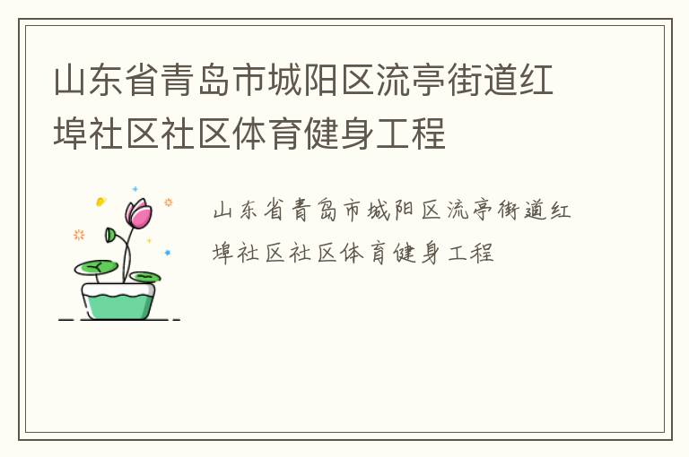 山東省青島市城陽區流亭街道紅埠社區社區體育健身工程