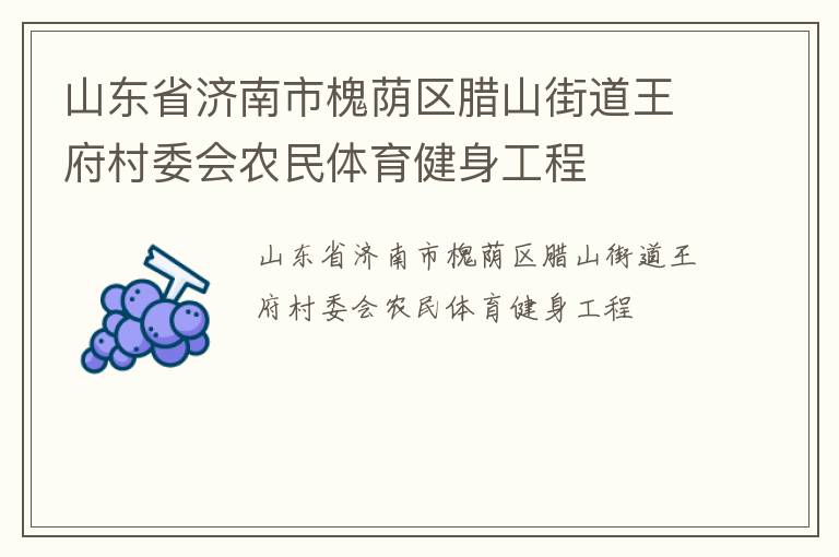 山東省濟南市槐蔭區臘山街道王府村委會農民體育健身工程