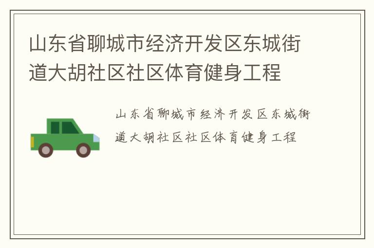 山東省聊城市經濟開發區東城街道大胡社區社區體育健身工程